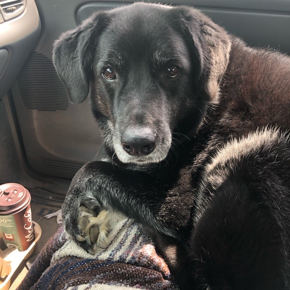 Meet your Posher, Matt - Picture 6 of 6